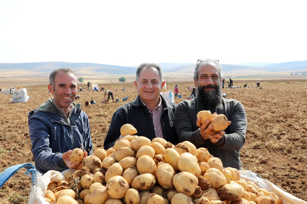 Türkiye’nin el lezzetli patatesleri burada yetişiyor
