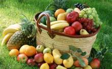 Organik Meyve Üreticileri Birliği kuruldu