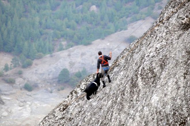 Kayalıklarda mahsur kalan keçiyi itfaiye kurtardı 