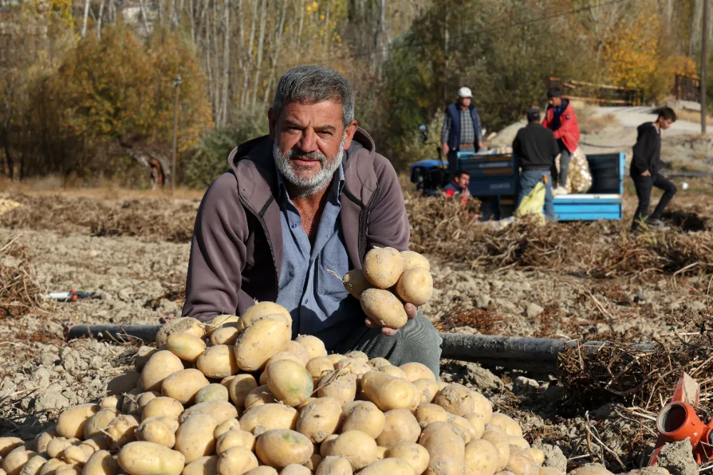 Gurbetten köyüne döndü, patates üretimiyle örnek çiftçi oldu