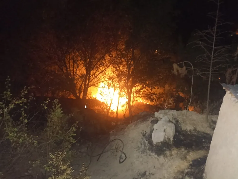Bahçe yangını korkuttu